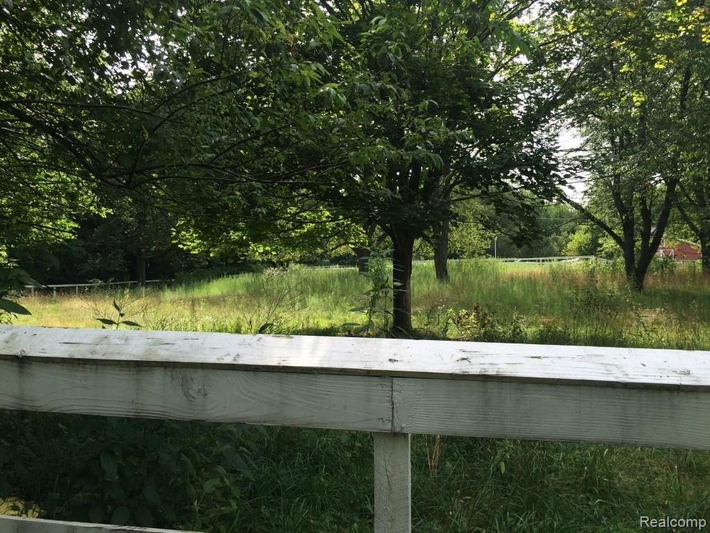 Lot 1 Eager Road Howell, MI 48843 - Photo 5 of 14