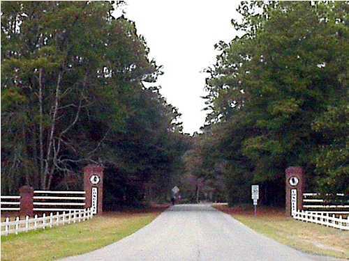 335 Sangaree Road Walterboro, SC 29488 - Photo 1 of 3 Primary Photo