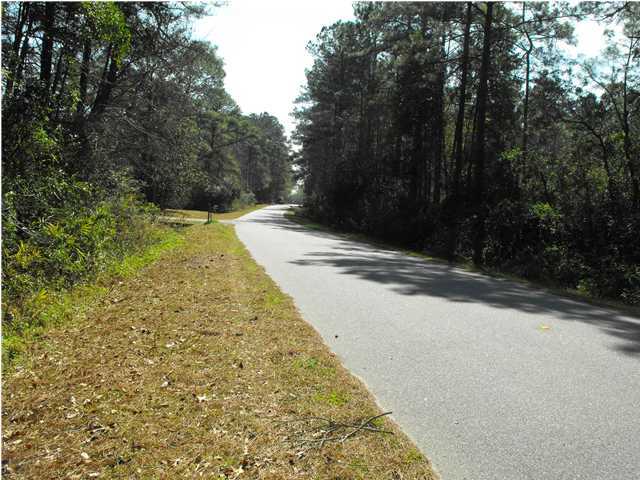 335 Sangaree Road Walterboro, SC 29488 - Photo 2 of 3 Additional Photo