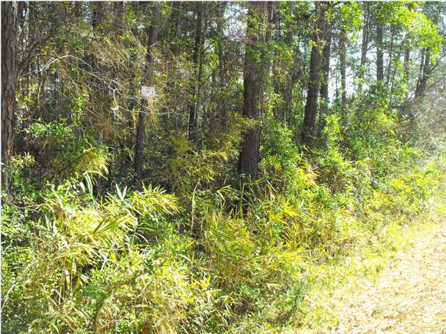 335 Sangaree Road Walterboro, SC 29488 - Photo 3 of 3 Additional Photo