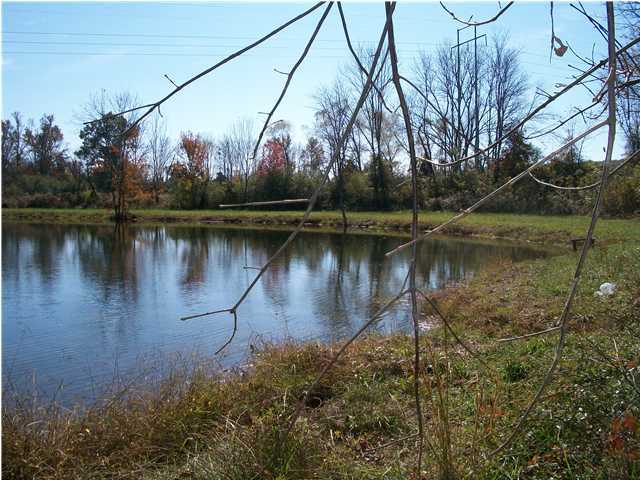 4025 Bill Jones Road, Unit 5 Apison, TN 37302 - Photo 3 of 10 Additional Photo