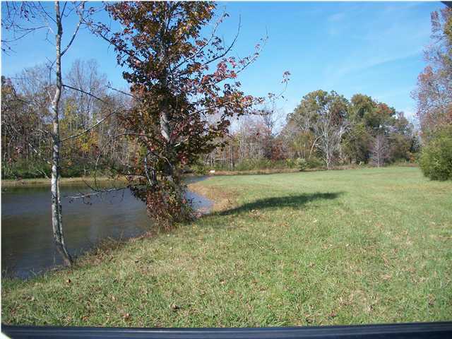 4025 Bill Jones Road, Unit 5 Apison, TN 37302 - Photo 8 of 10 Additional Photo