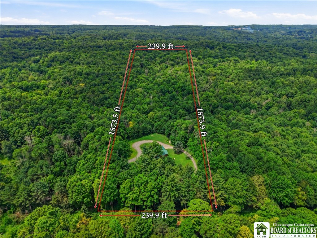 5689 Fenner Road Stockton, NY 14782 - Photo 2 of 50