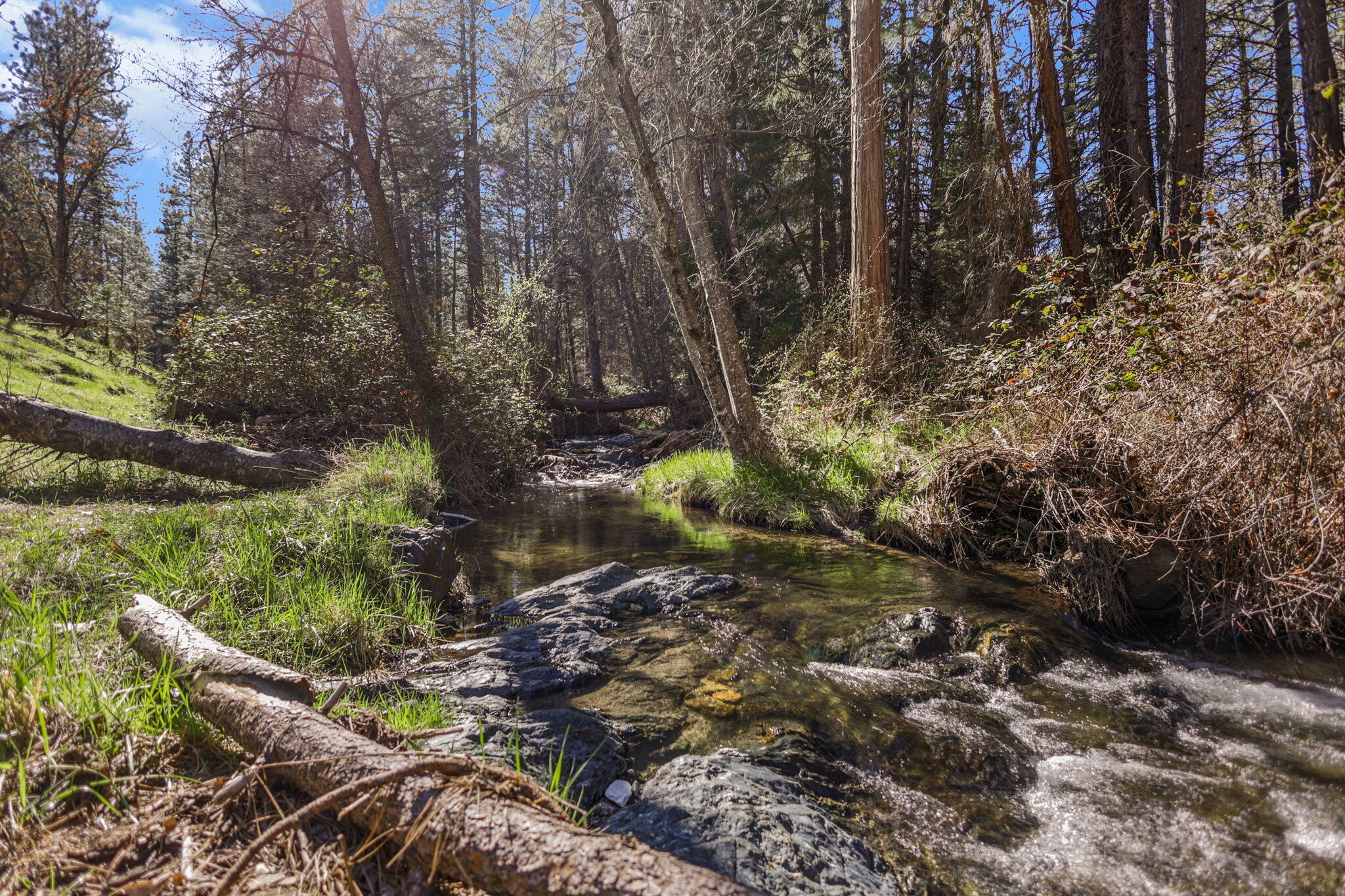 7530 Miners Creek Road Etna, CA 96027 - Photo 3 of 122 2-web-or-mls-8Q0A2760_1