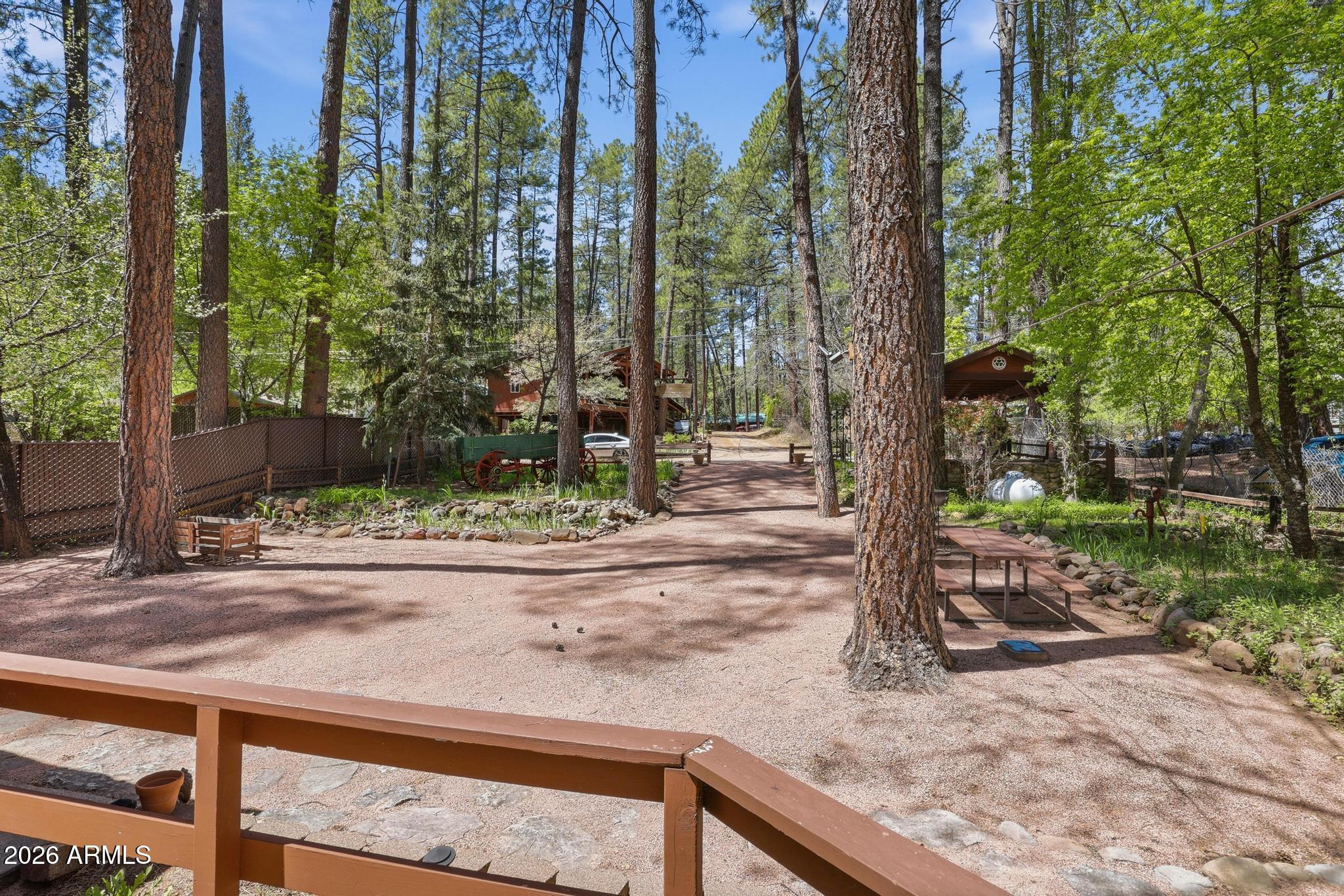 250 East Saddle Mountain Road Payson, AZ 85541 - Photo 28 of 32 a view of a backyard and tree