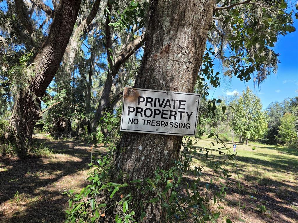 3199 168th Street Wellborn, FL 32094 - Photo 1 of 8