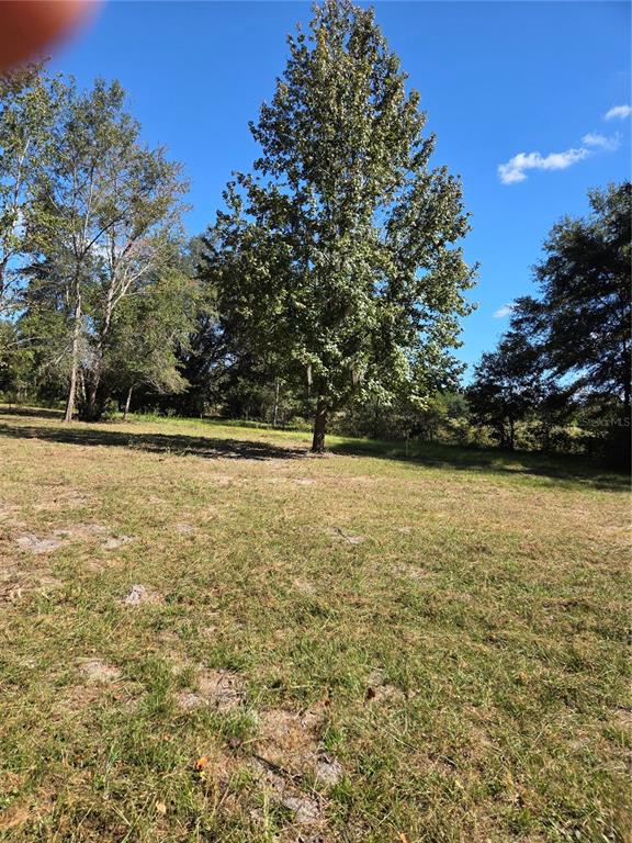 3199 168th Street Wellborn, FL 32094 - Photo 5 of 8