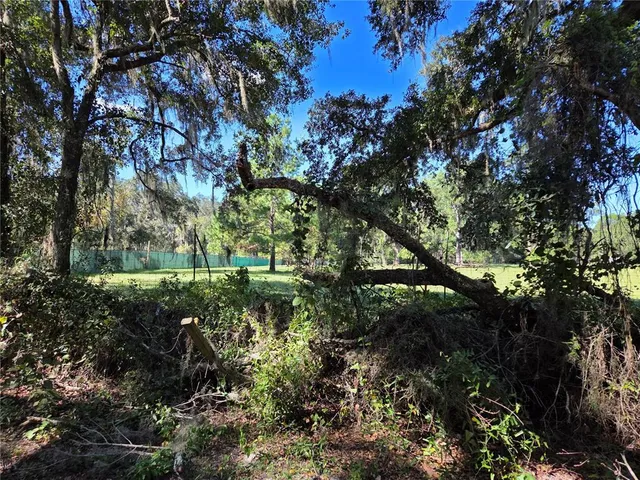 a view of a green field with lots of bushes
