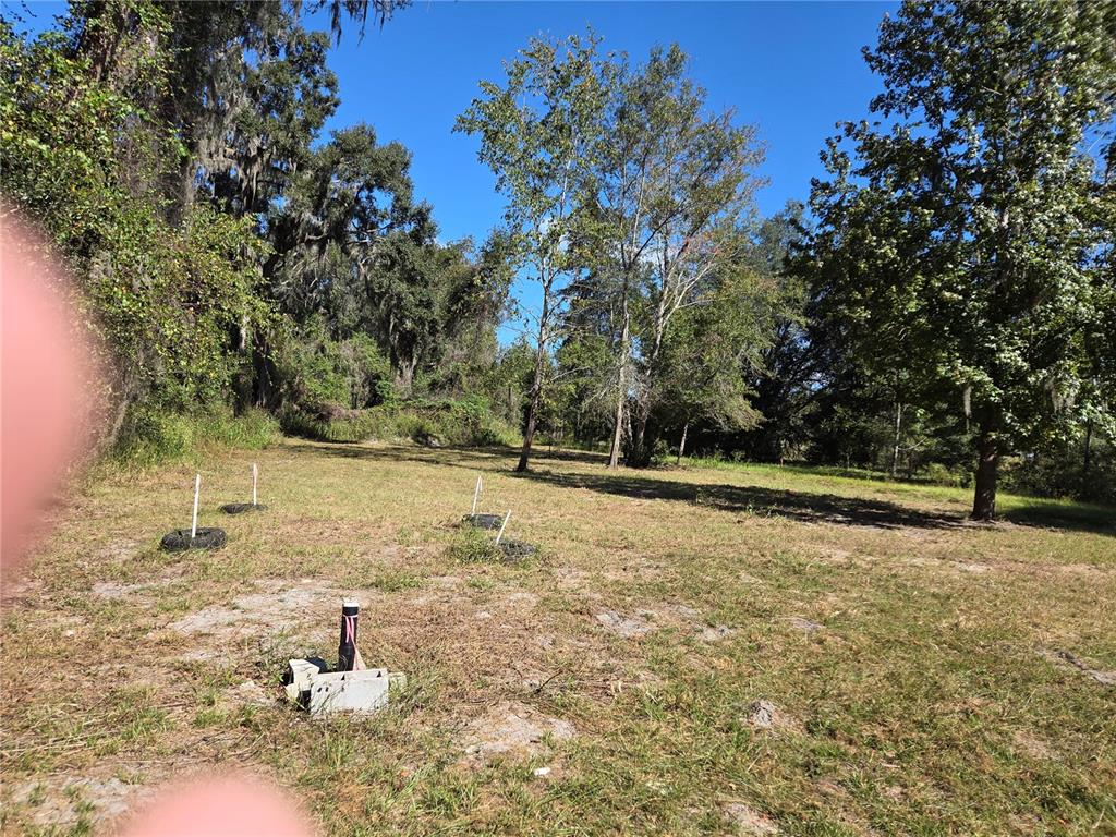 3199 168th Street Wellborn, FL 32094 - Photo 8 of 8