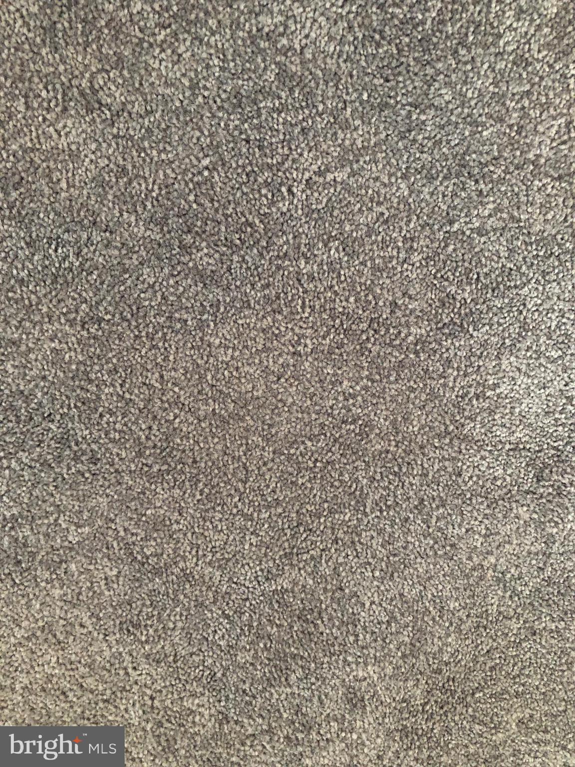 2703 West Woodwell Road Baltimore, MD 21222 - Photo 26 of 67 BRAND NEW GRAY CARPET.. VERY POPULAR