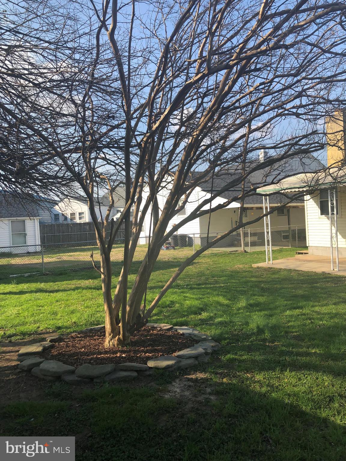 2703 West Woodwell Road Baltimore, MD 21222 - Photo 66 of 67 TREES FOR SHADE