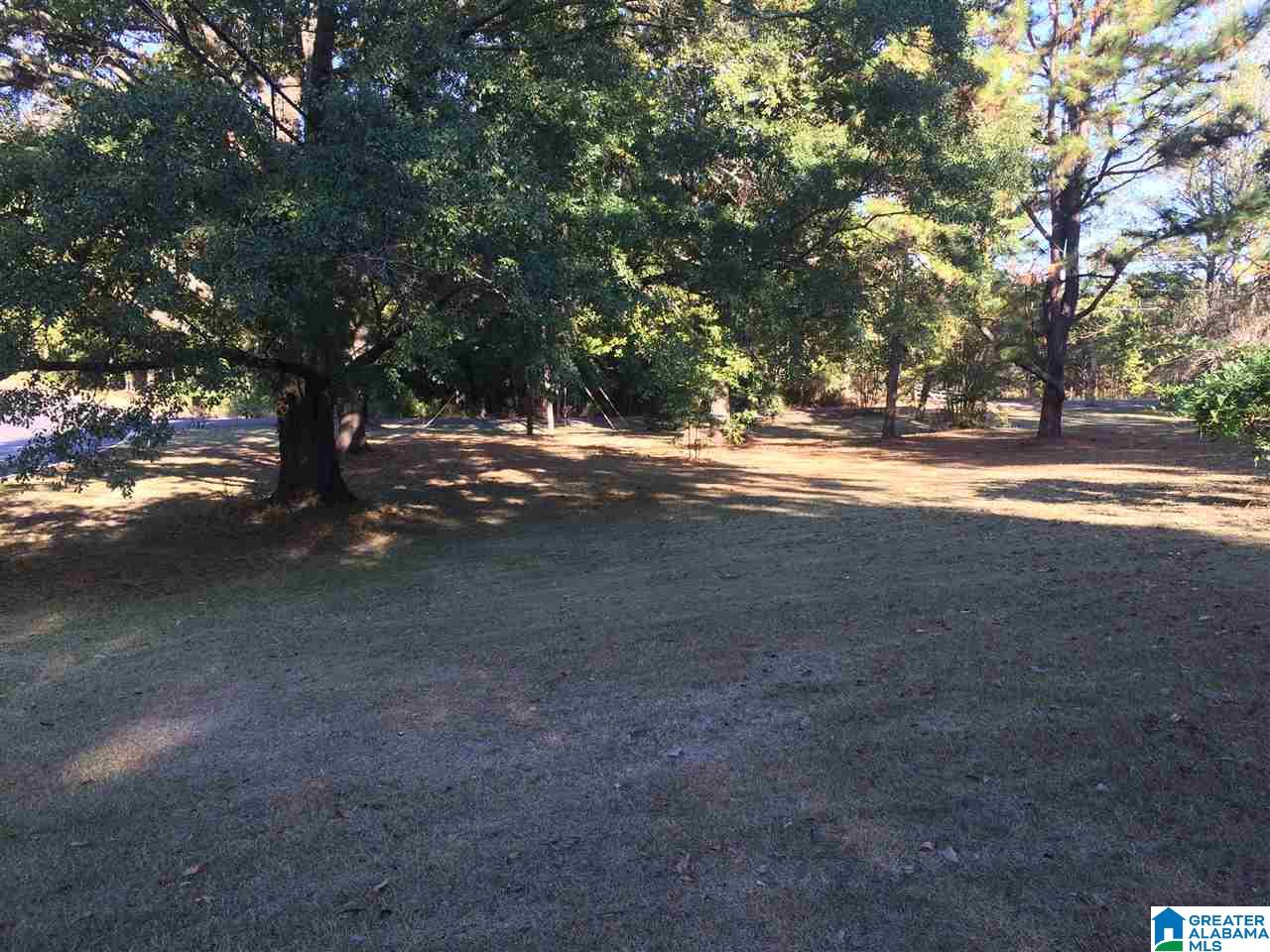 8621 Lock 17 Road Bessemer, AL 35023 - Photo 15 of 23