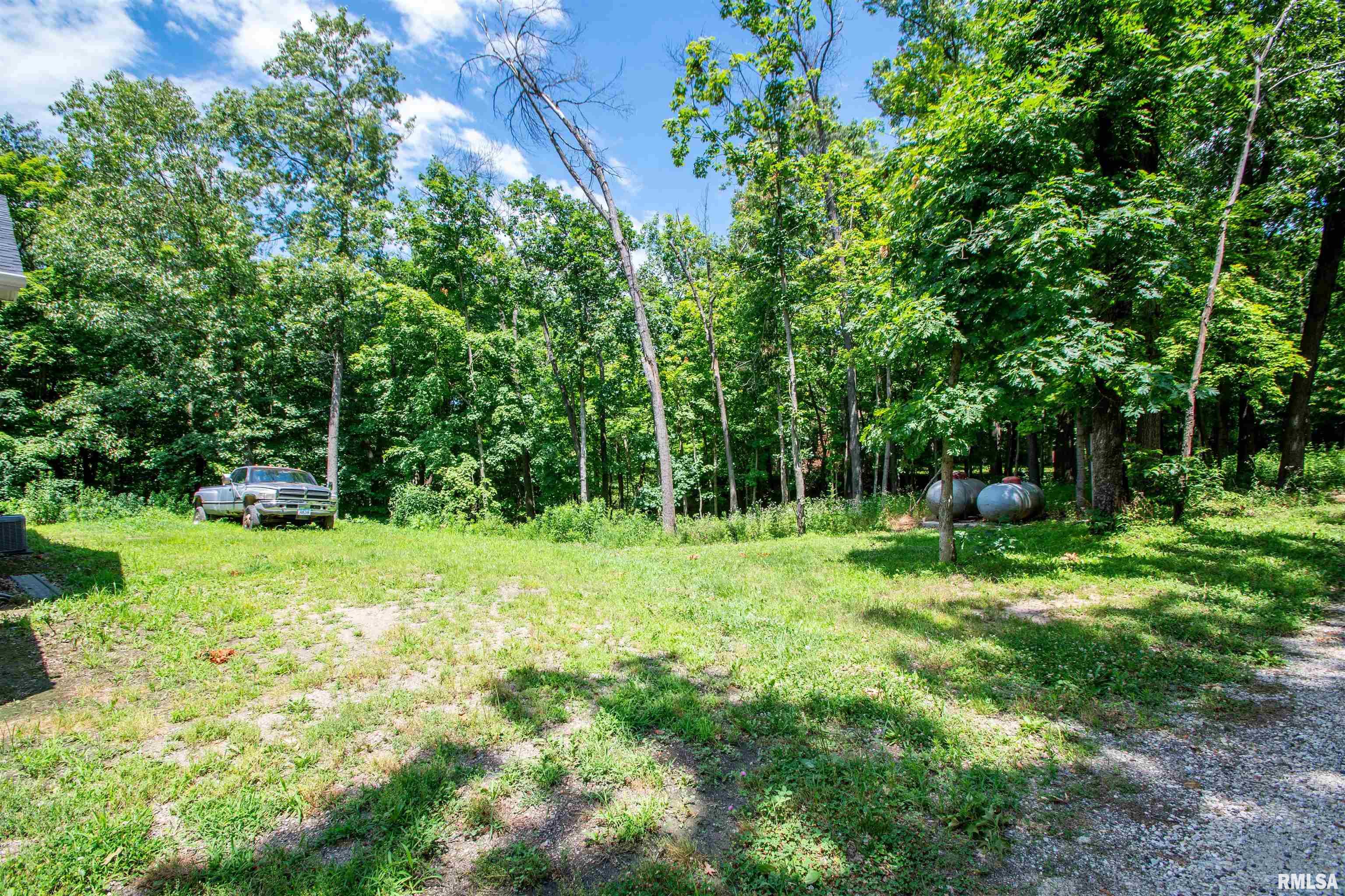 18523 Zimmerman Road Deer Creek, IL 61733 - Photo 8 of 48 Gallery Image 8