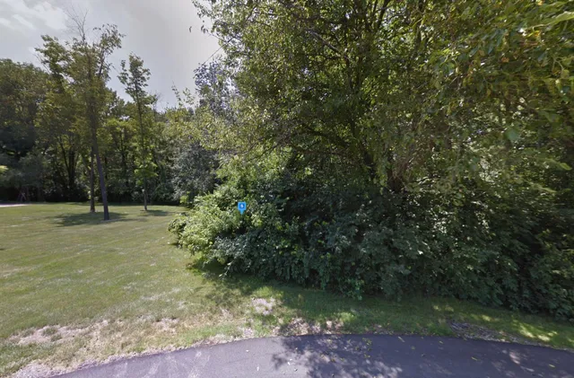 a view of backyard with green space