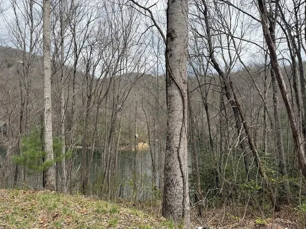 $59,000 | Tbd Tbd Rainwater Point, Topton, NC 28781
