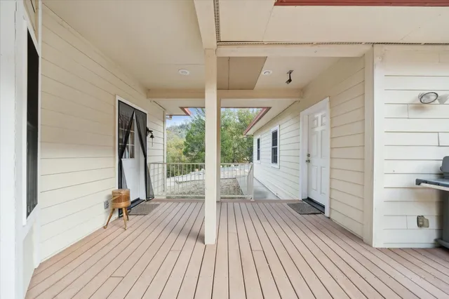 a view of a forest with a mountain in the background