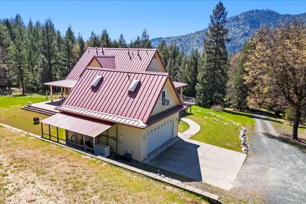 a view of a bunch of trees and bushes
