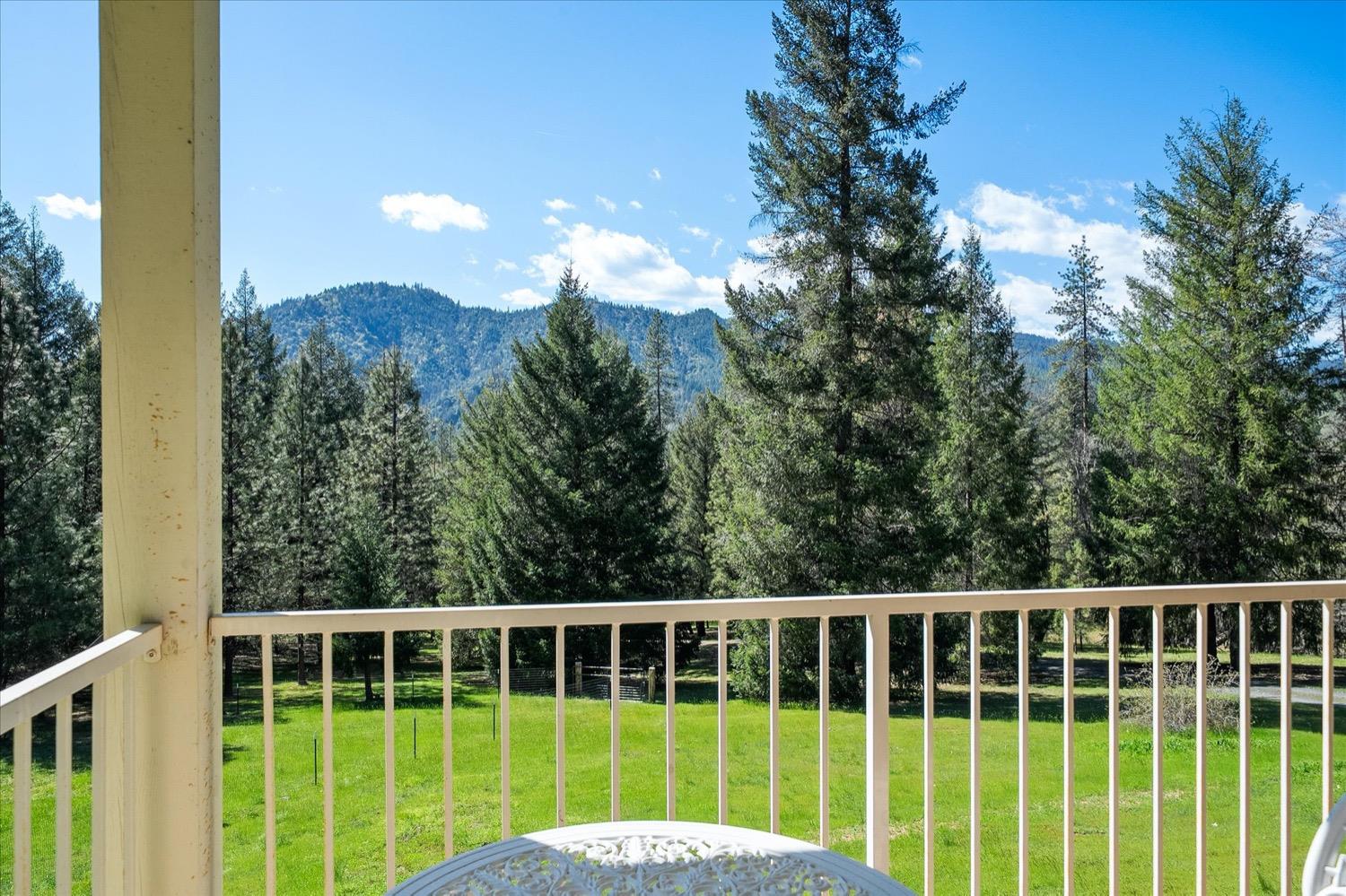 2995 Goose Ranch Road Lewiston, CA 96052 - Photo 66 of 87 a view of a large window with a garden and yard