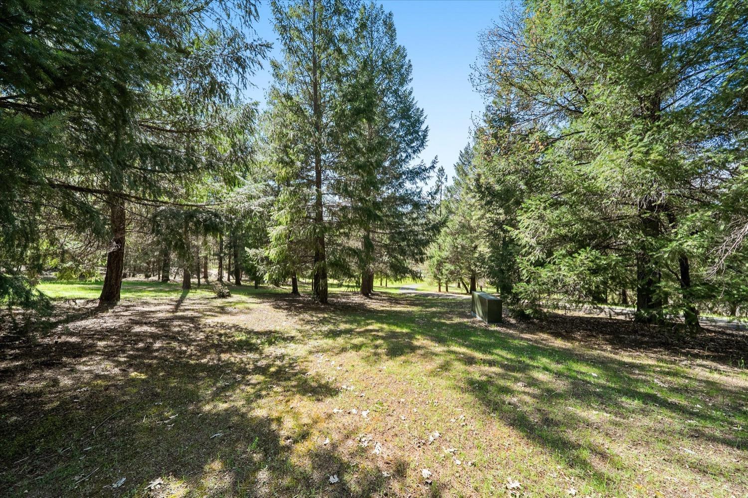 2995 Goose Ranch Road Lewiston, CA 96052 - Photo 75 of 87