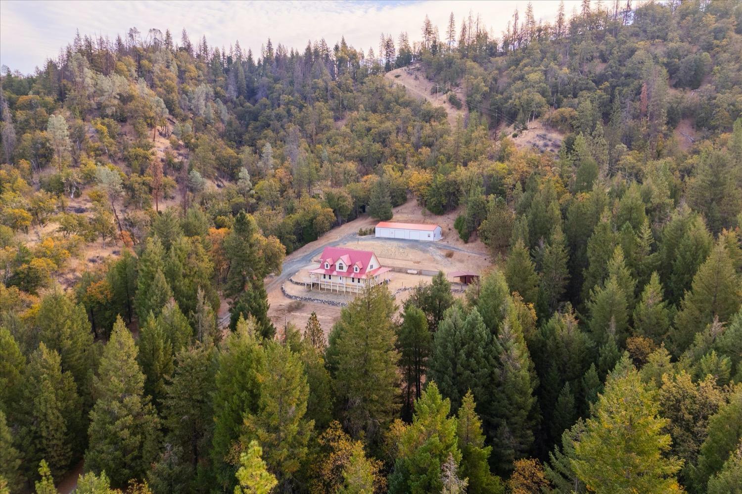 2995 Goose Ranch Road Lewiston, CA 96052 - Photo 76 of 87