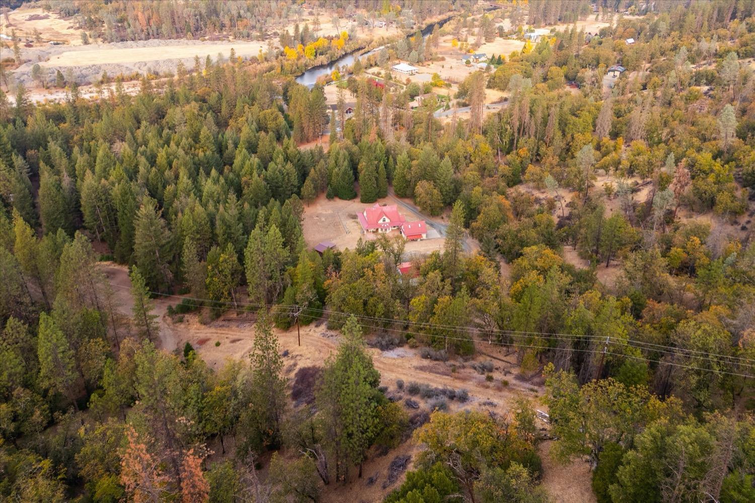2995 Goose Ranch Road Lewiston, CA 96052 - Photo 79 of 87 a backyard of a house with a yard and tree s