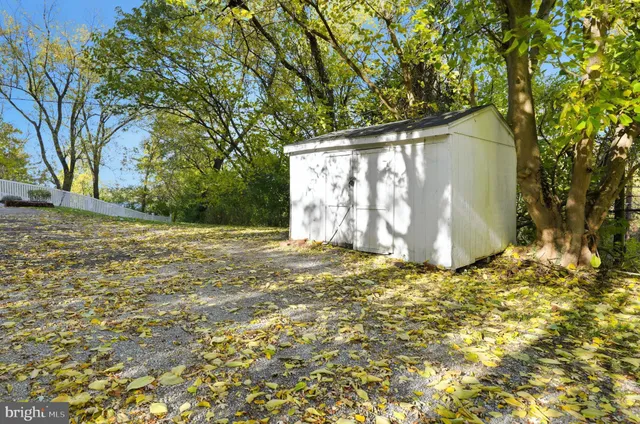 a view of a yard with large trees