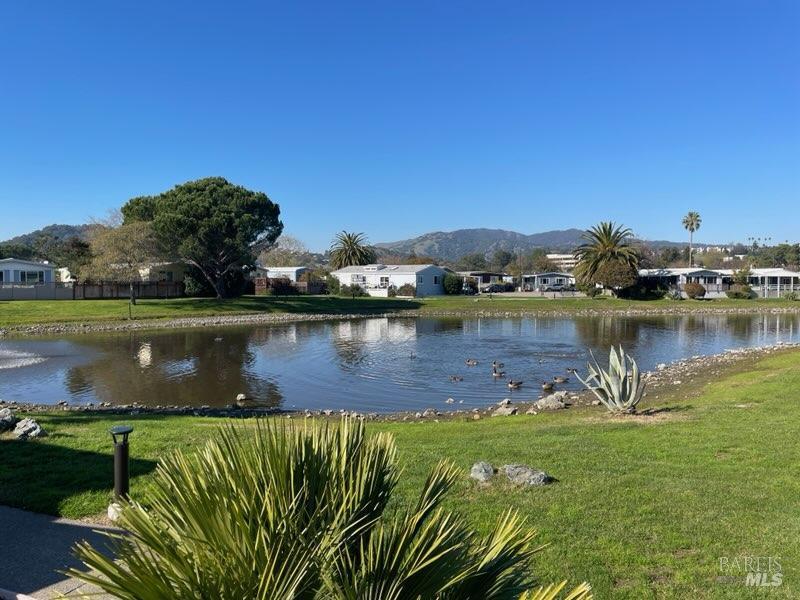376 Glacier Way San Rafael, CA 94903 - Photo 23 of 30