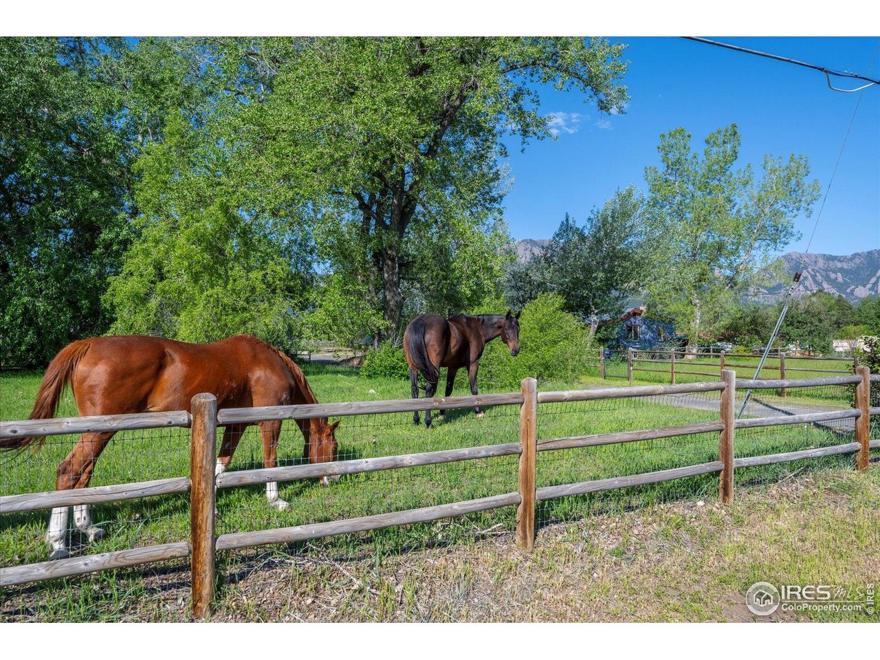 1351 Marshall Road Boulder, CO 80305 - Photo 37 of 46 a view of a house with a yard