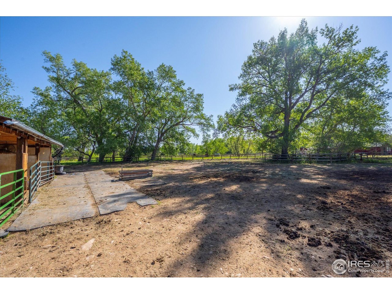 1351 Marshall Road Boulder, CO 80305 - Photo 44 of 46 a view of a yard with an tree