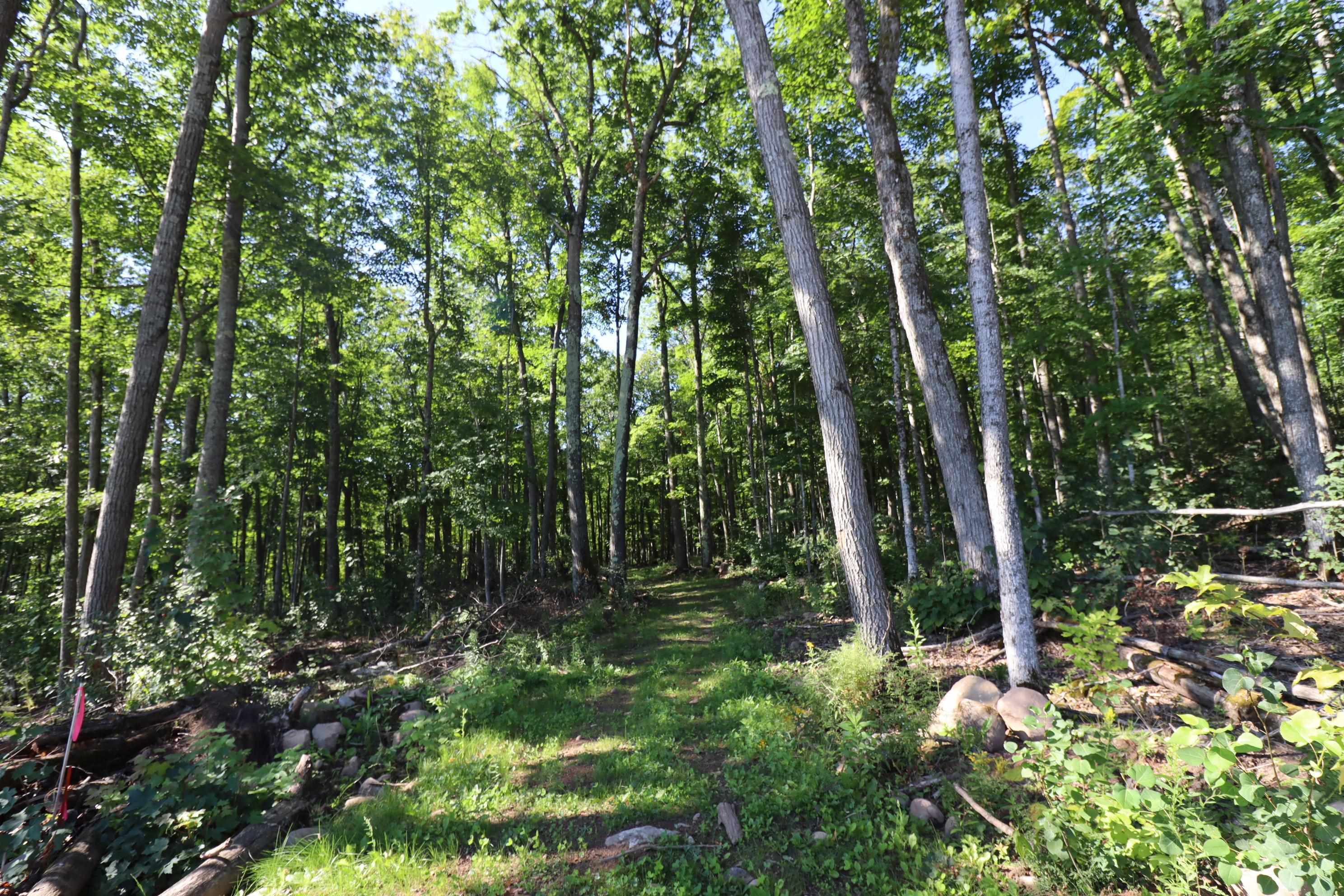 35480 Whitetail Avenue Bayfield, WI 54814 - Photo 20 of 47