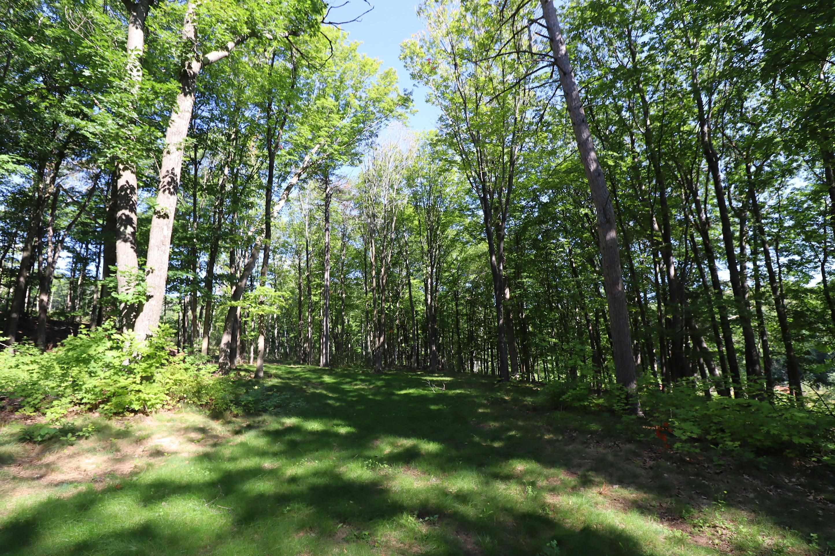 35480 Whitetail Avenue Bayfield, WI 54814 - Photo 33 of 47