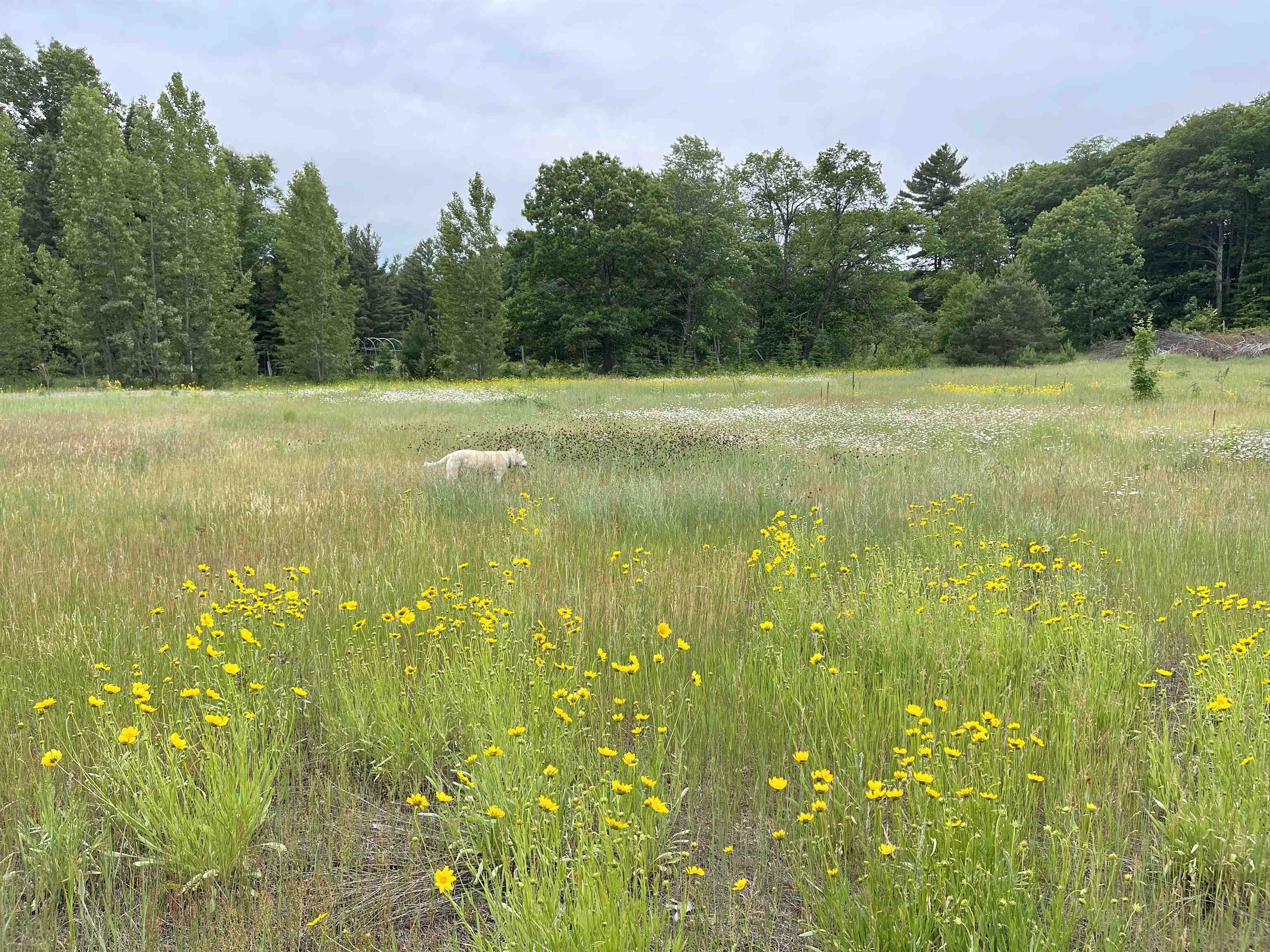 35480 Whitetail Avenue Bayfield, WI 54814 - Photo 37 of 47