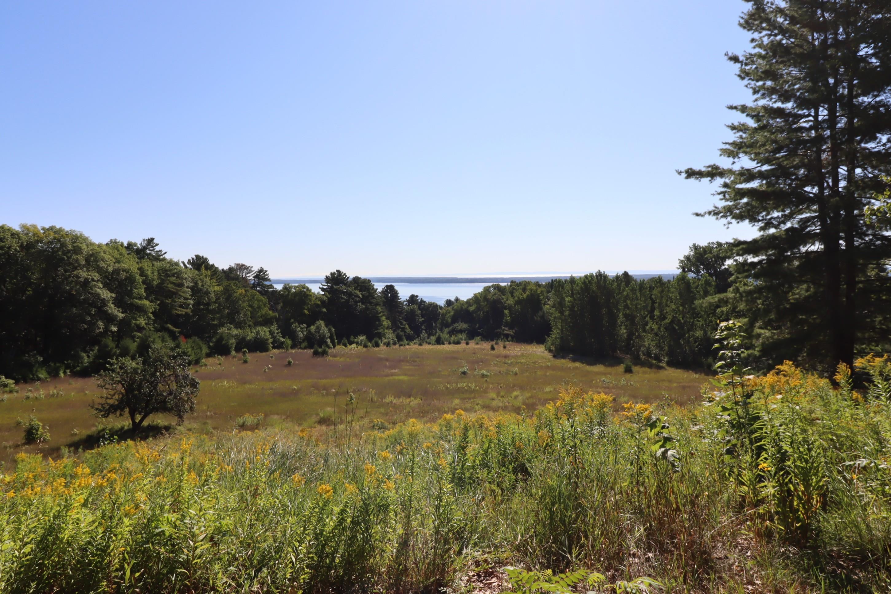 35480 Whitetail Avenue Bayfield, WI 54814 - Photo 5 of 47 Lovely Meadow