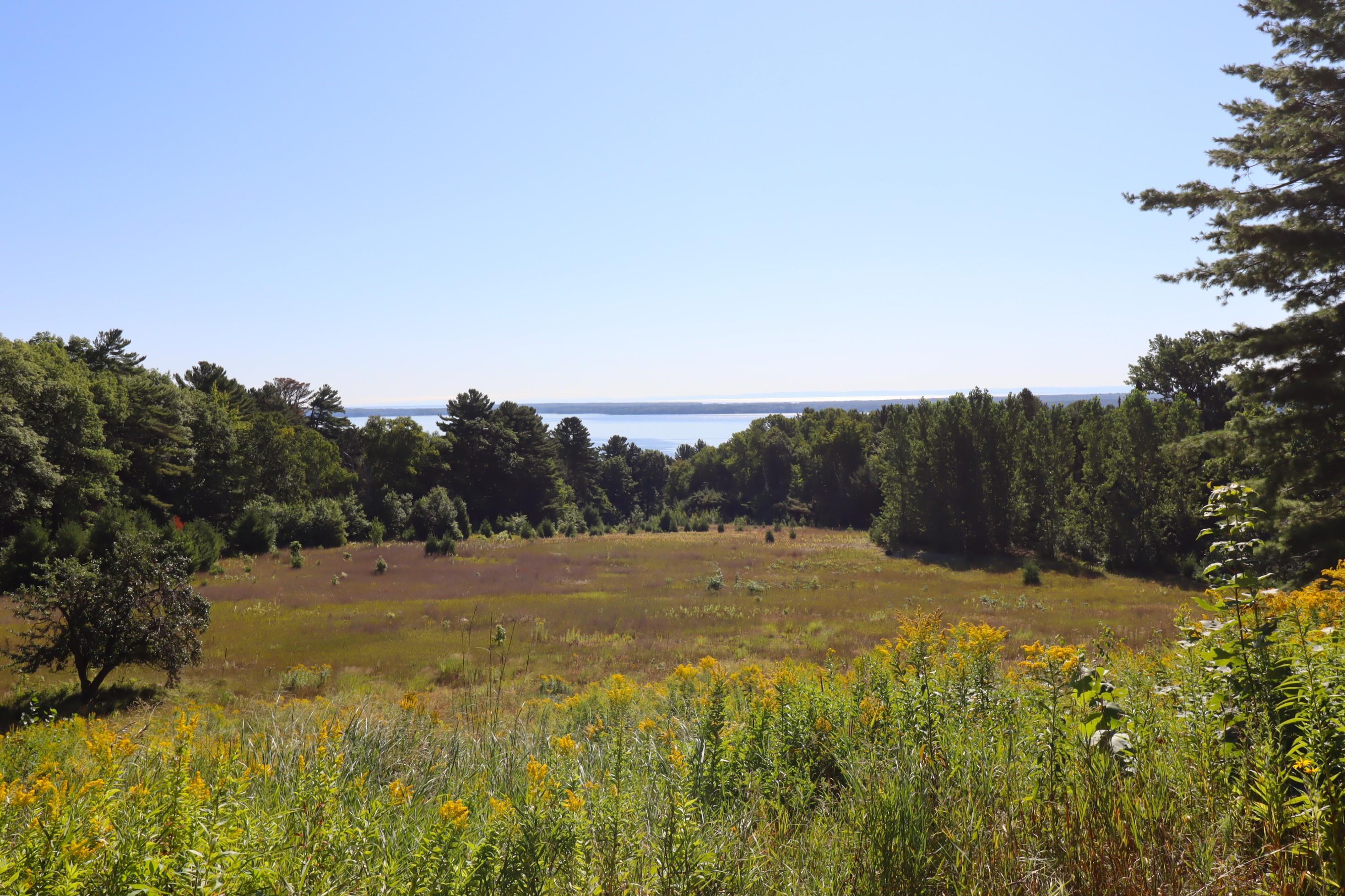 35480 Whitetail Avenue Bayfield, WI 54814 - Photo 6 of 47