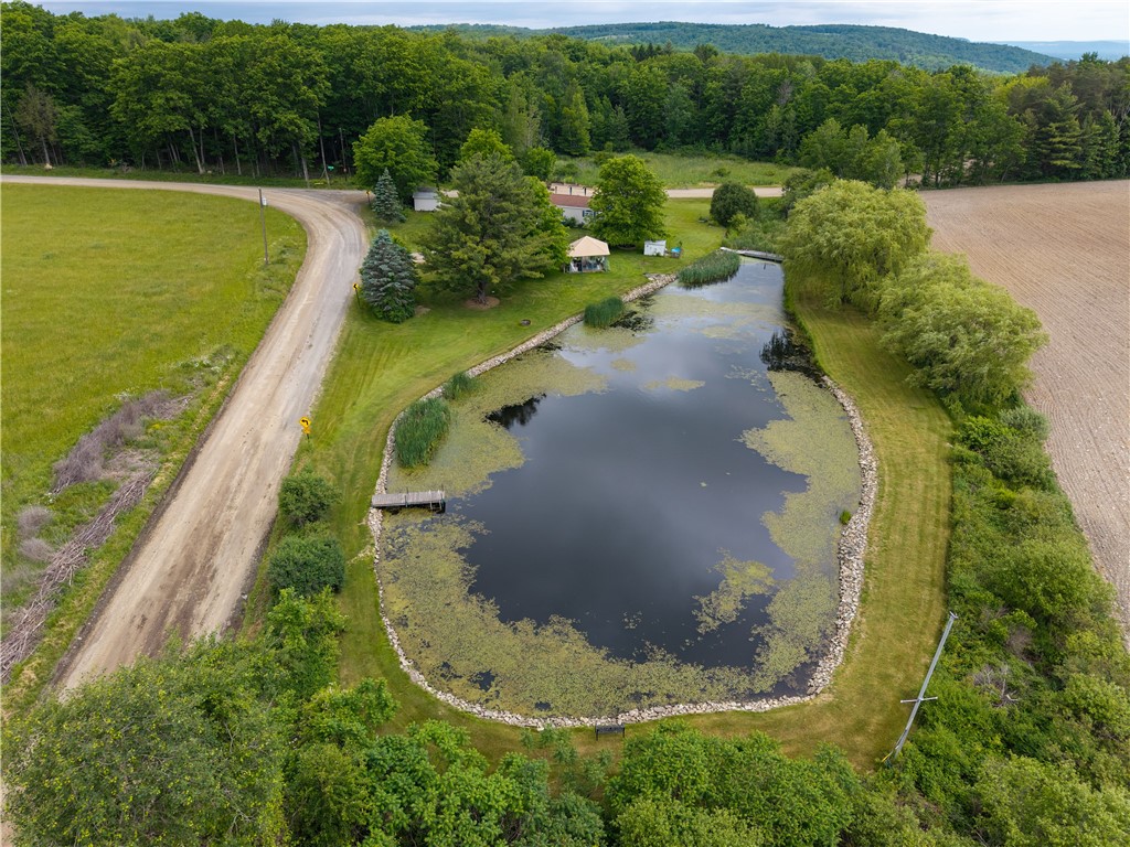 7551 Dee Road Thurston, NY 14821 - Photo 9 of 50