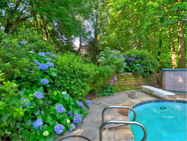 a view of a backyard with table and chairs potted plants
