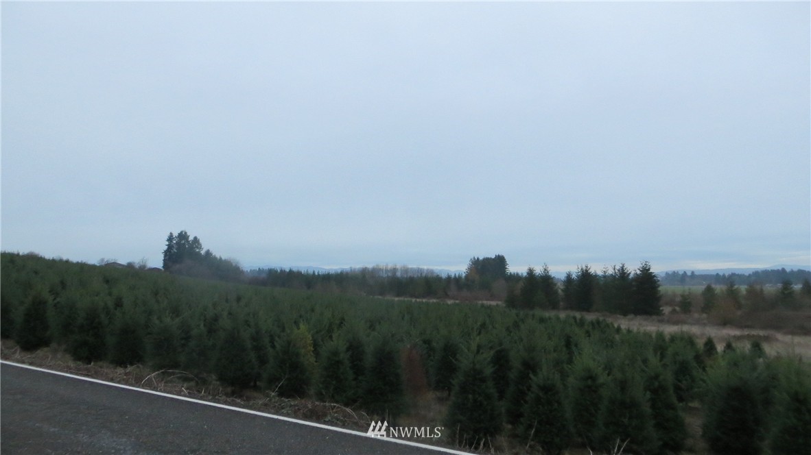 0 Spencer Road Toledo, WA 98591 - Photo 2 of 2