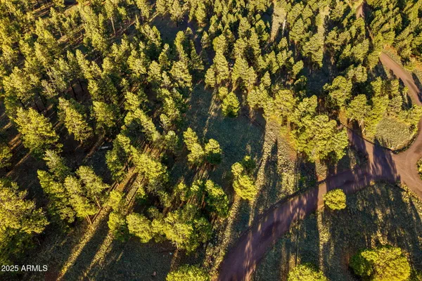 $135,000 | 7 North County Road, Unit 46, Greer, AZ 85927