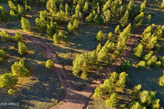 a view of residential houses