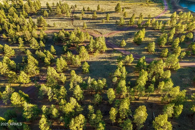 a backyard of a house with lots of green space and two chairs
