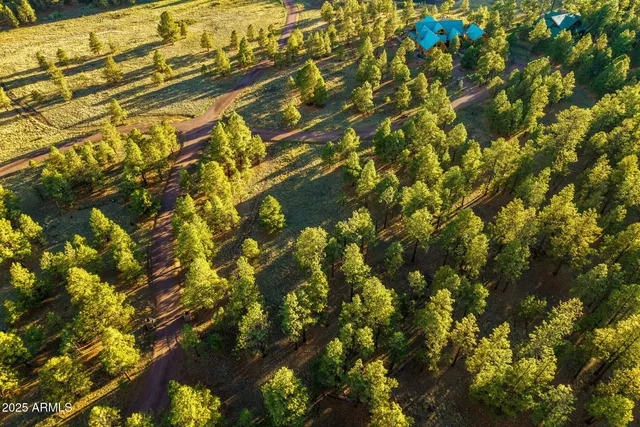 $149,500 | 7 North County Road, Unit 46, Greer, AZ 85927