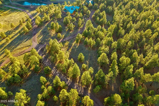 $149,500 | 7 North County Road, Unit 46, Greer, AZ 85927