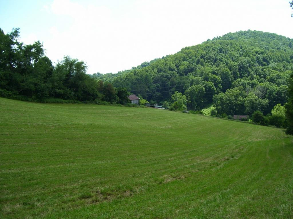 8927 Blackwell Chapel Road Meadowview, VA 24361 - Photo 8 of 15 Photo 8