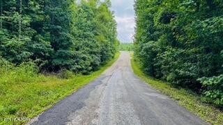 Clay Boyatt Road Oneida, TN 37841 - Photo 5 of 5 IMG_3187