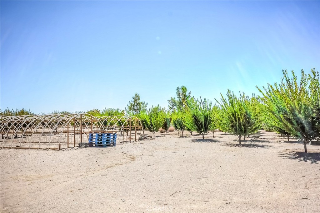 13830 Paramount Road Phelan, CA 92371 - Photo 19 of 21 Gallery Image 19