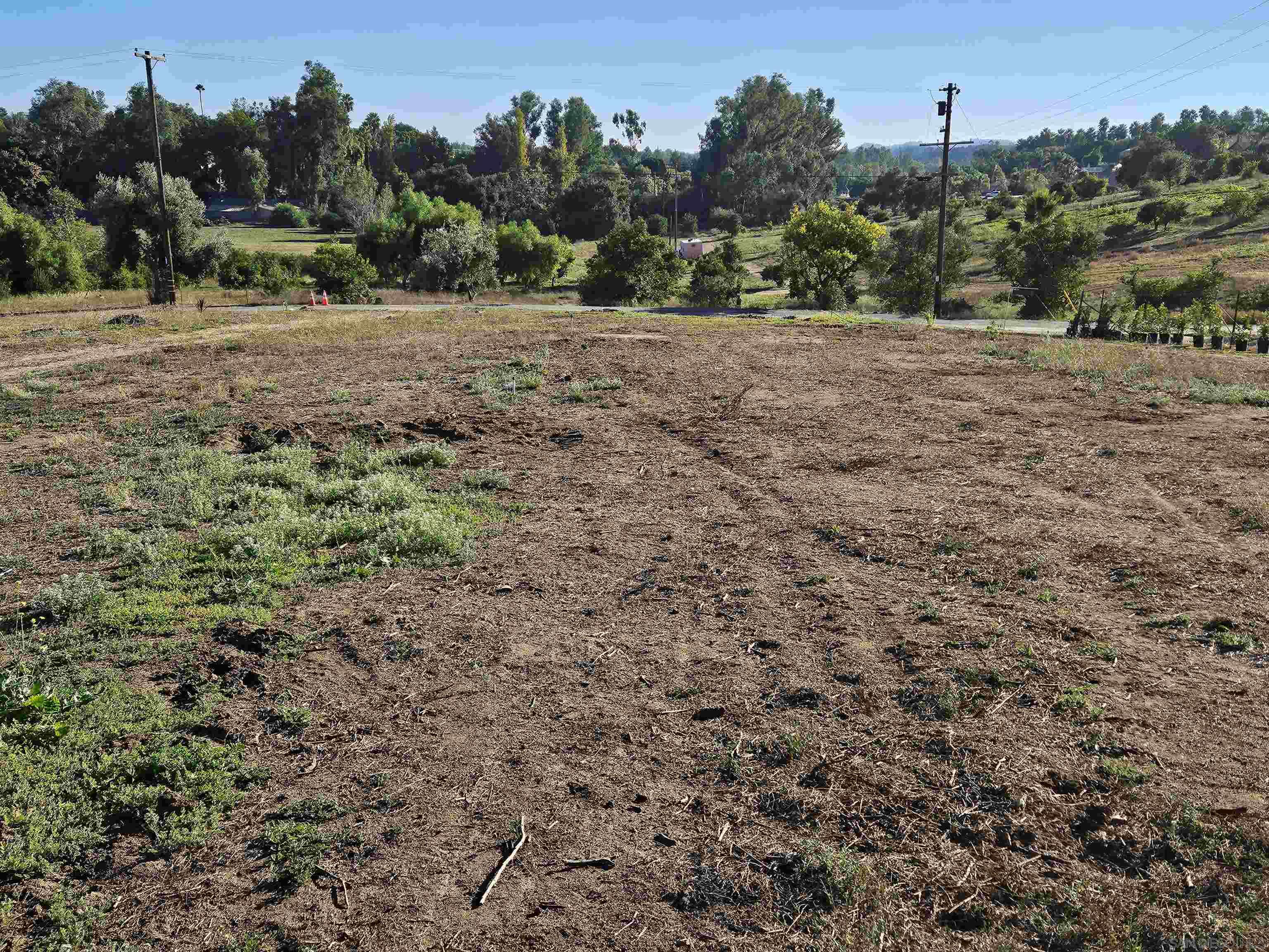 a view of an outdoor space with trees