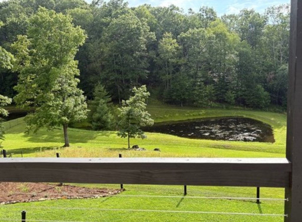 163 Snow Ridge Lane Fancy Gap, VA 24328 - Photo 81 of 89 Gallery Image 81