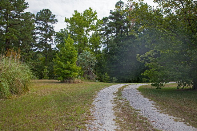 4825 McGahee Road Evans, GA 30809 - Photo 3 of 31 Gallery Image 3