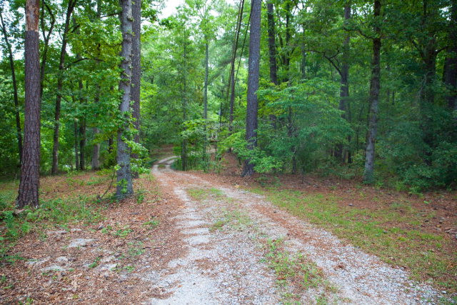 4825 McGahee Road Evans, GA 30809 - Photo 4 of 31 Gallery Image 4