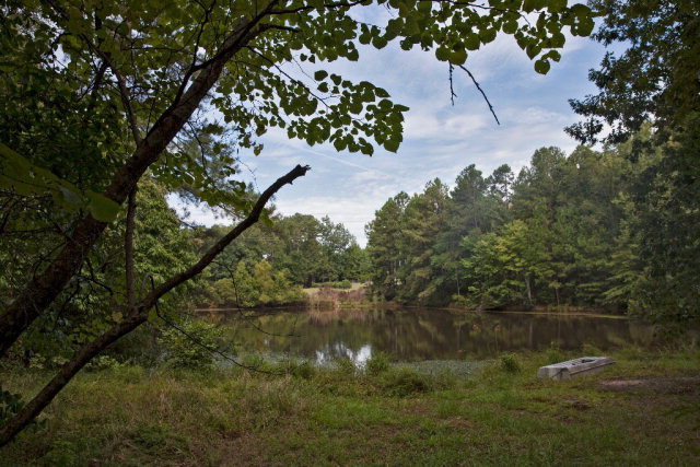 4825 McGahee Road Evans, GA 30809 - Photo 5 of 31 Gallery Image 5
